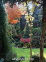 wbgarden autumn 57